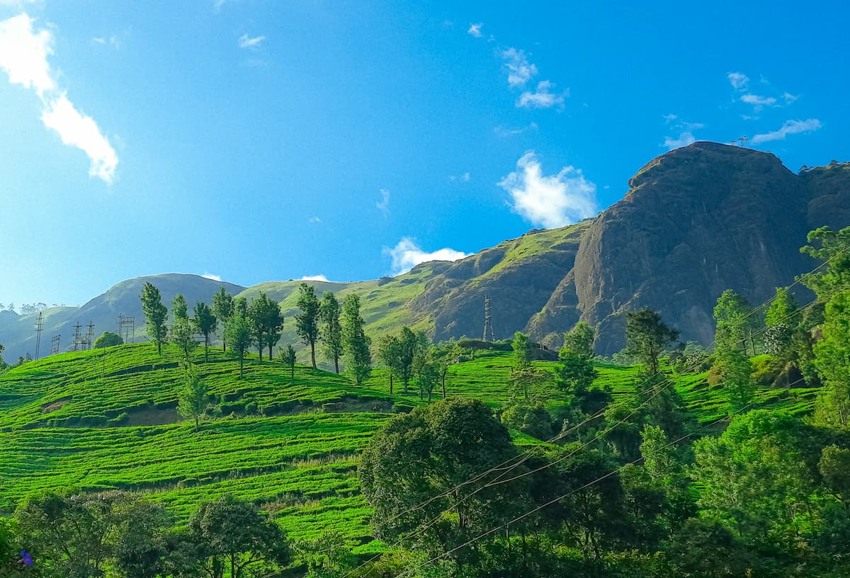 Munnar travel guide – tea gardens and hill views in Kerala